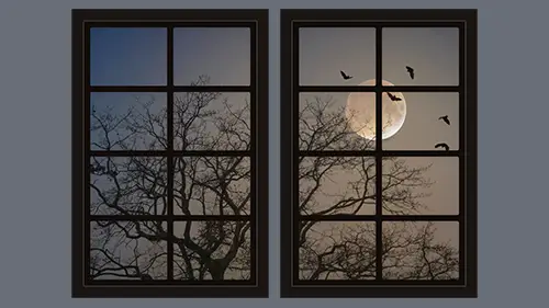 scene of bats flying across the moon and tree silhouette - spooky dollhouse windows printable